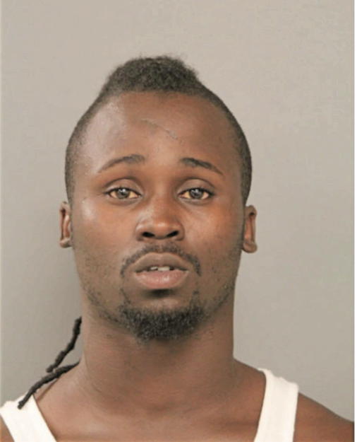 NOAH R GADISON, Cook County, Illinois