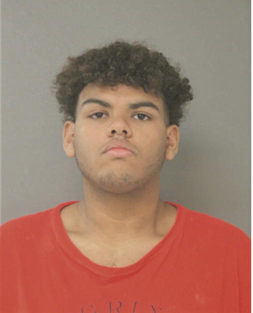 JUAN L GONZALEZ, Cook County, Illinois