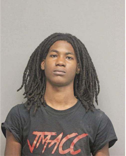 JOSHUA R HAYES, Cook County, Illinois