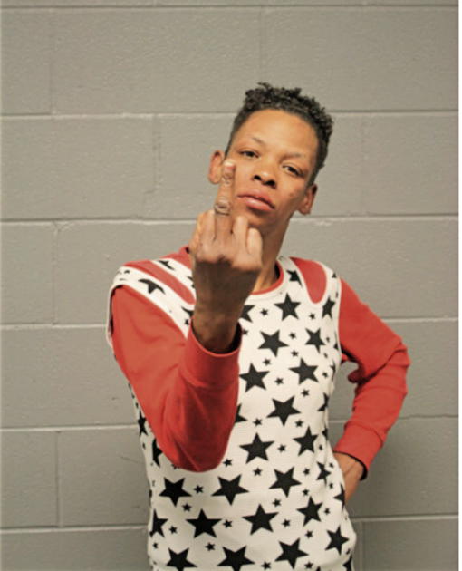 YVONNE P HAYES, Cook County, Illinois