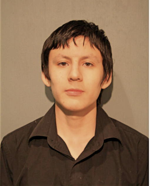 LUIS R MATIENZO, Cook County, Illinois