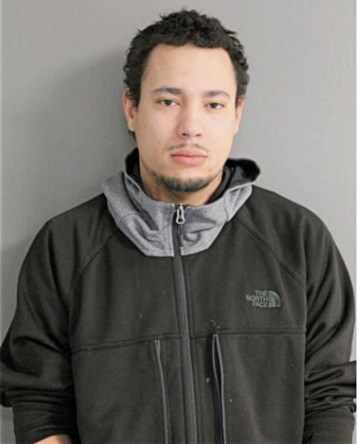 JOHANNI P MELENDEZ, Cook County, Illinois