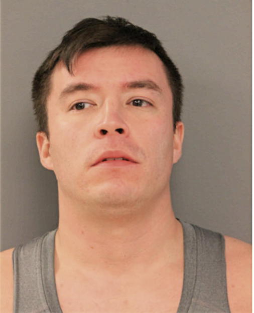 CHRISTIAN H MORALES, Cook County, Illinois