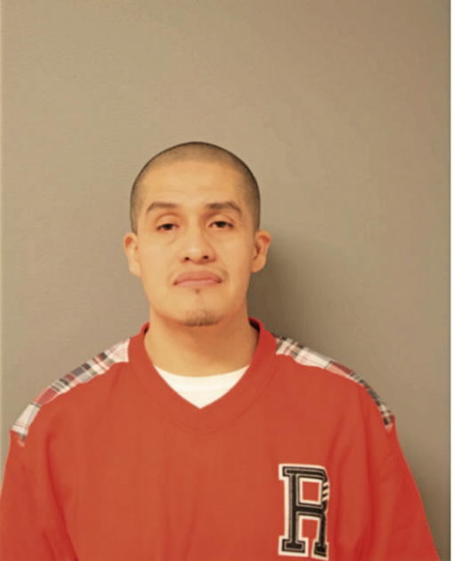 MAURICIO NAVA, Cook County, Illinois