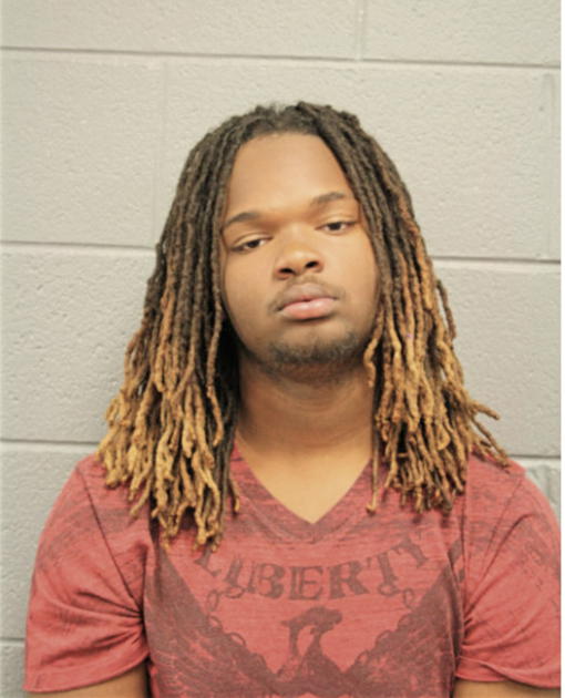 TYRIN T NORRIS, Cook County, Illinois
