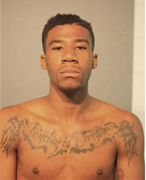 SAMUEL A OGUNLEYE, Cook County, Illinois