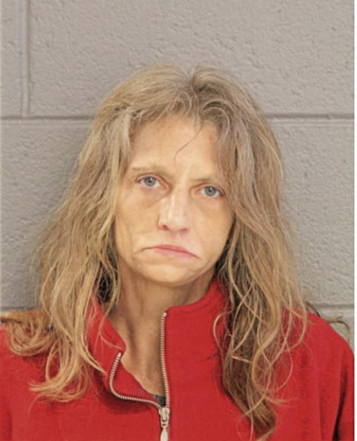 JULIE C RADCLIFFE, Cook County, Illinois