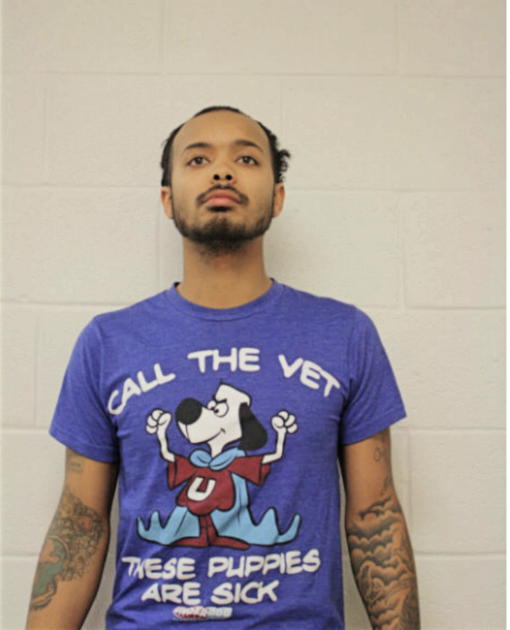CARLOS L RIVERA, Cook County, Illinois