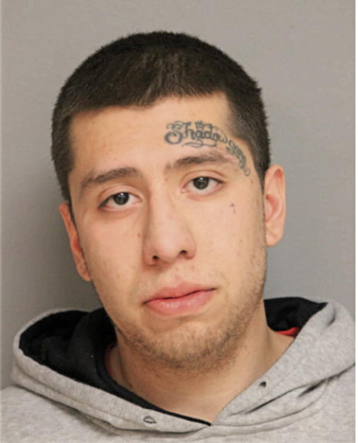 JONATHAN ROMAN, Cook County, Illinois