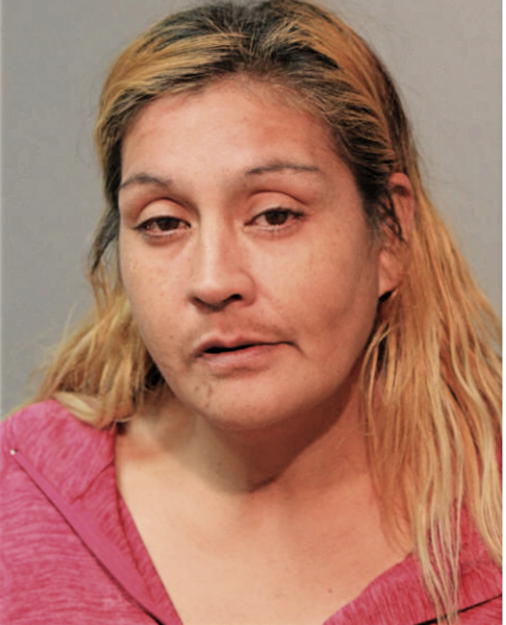 ROSA SANCHEZ, Cook County, Illinois