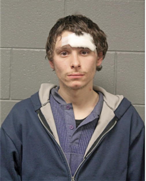 BRYAN A SIMPSON, Cook County, Illinois