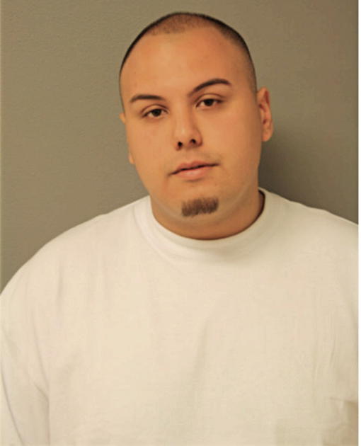 ACEY D STEPHENS, Cook County, Illinois