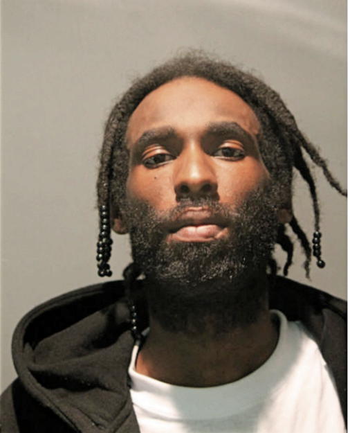 RASHAUN E STROUD, Cook County, Illinois