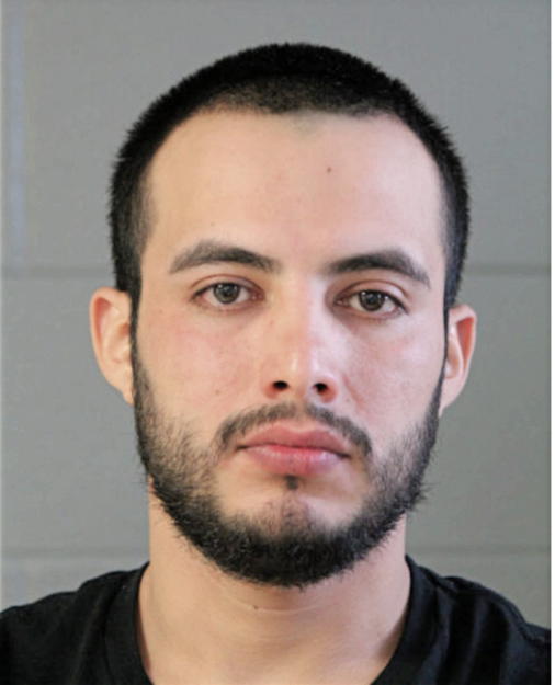 ANSELMO TURCIOS-ARRIAZA, Cook County, Illinois