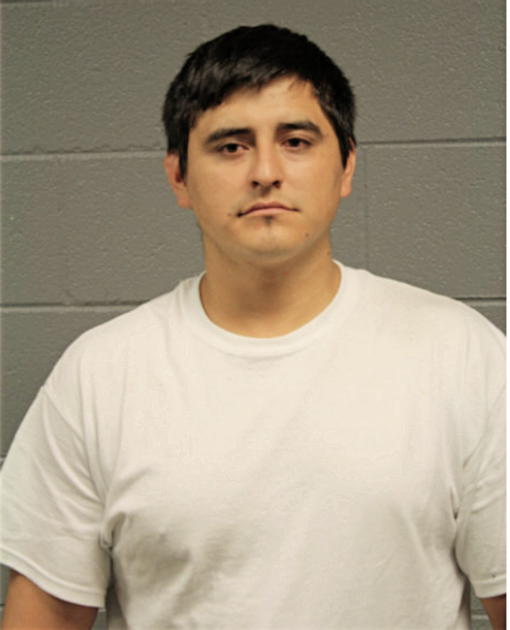 JUAN DIEGO VERGARA FLORES, Cook County, Illinois
