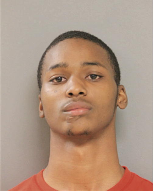 BRANDON M WHITE, Cook County, Illinois