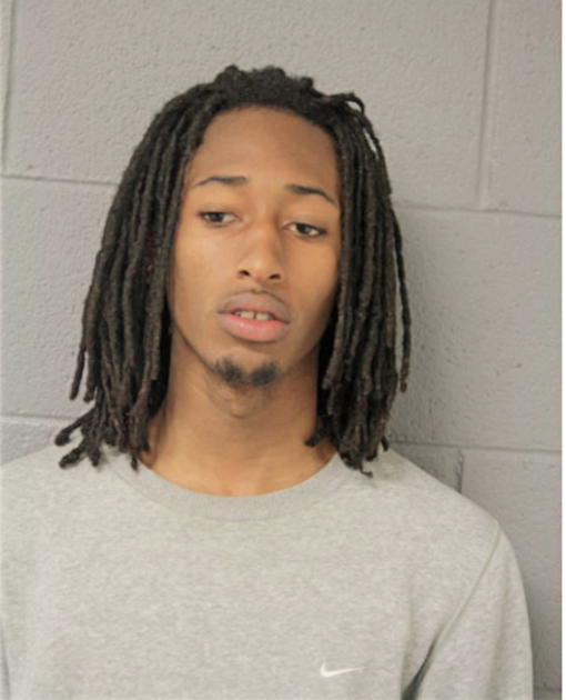 DARRYL L ANDERSON, Cook County, Illinois