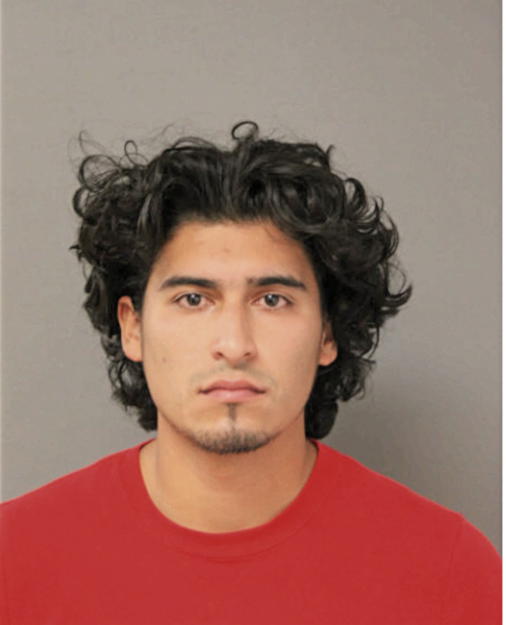 FLAVIO A CALI, Cook County, Illinois