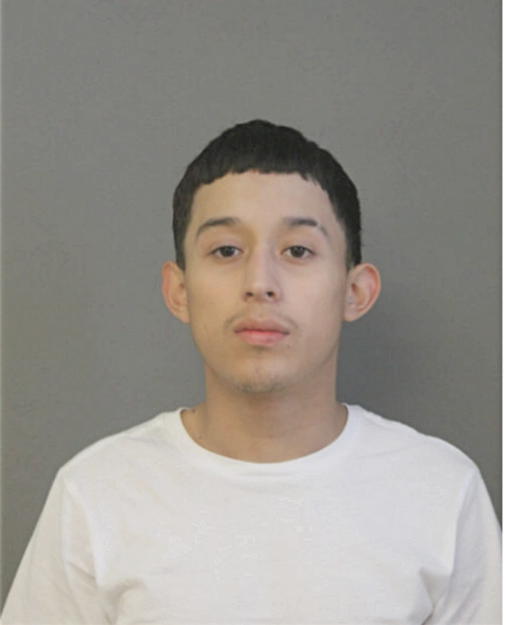 RICARDO JOSEPH CARDENAS, Cook County, Illinois