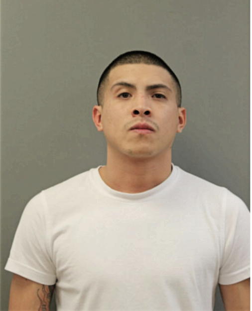 RUEBEN D CASTRO, Cook County, Illinois