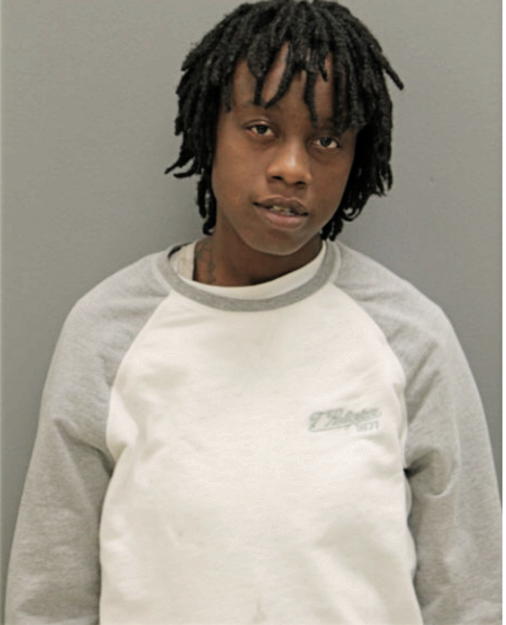 PORSHA L DOBSON, Cook County, Illinois