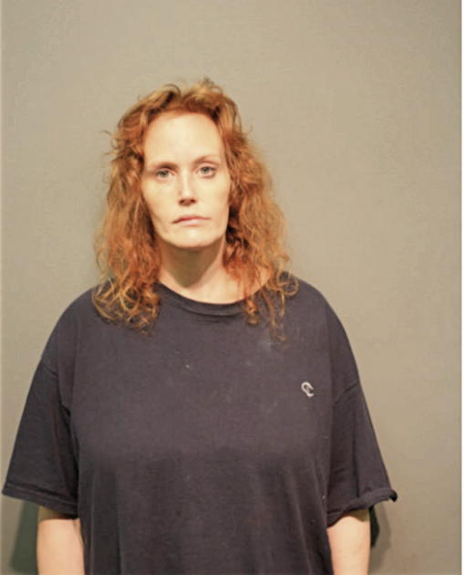JENNA R FINN, Cook County, Illinois
