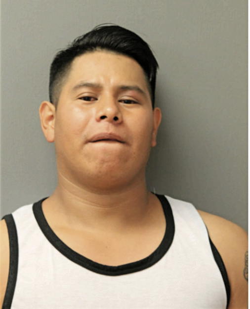 CARLOS GONZALEZ, Cook County, Illinois
