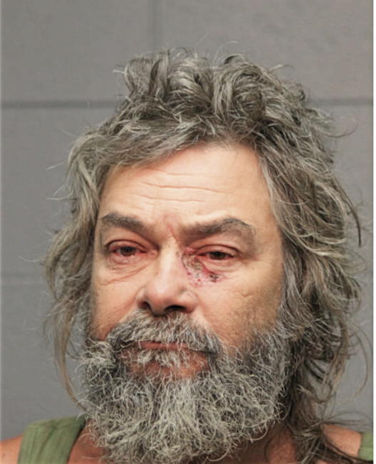 JOHN S HASELTINE, Cook County, Illinois