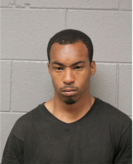 KEVIN L MASON, Cook County, Illinois