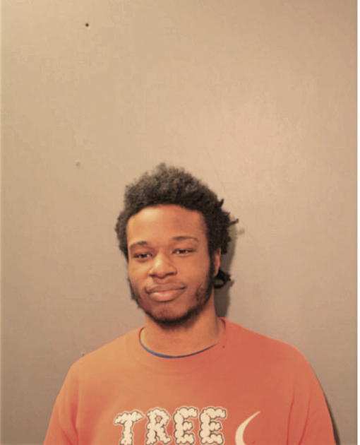 PRINCE S MCCOY, Cook County, Illinois