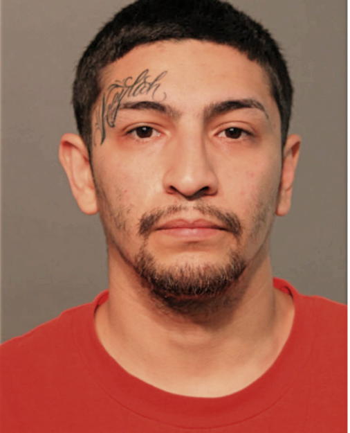 RICARDO MORALES, Cook County, Illinois