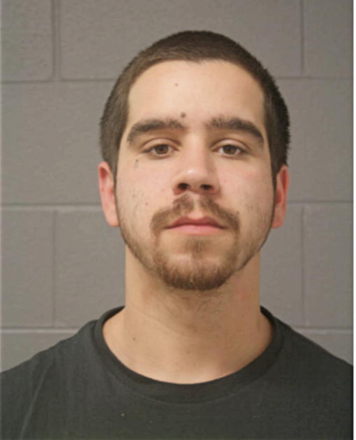 MICHAEL C OWENS, Cook County, Illinois