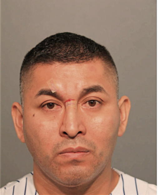 PEDRO RUBIO-PATINO, Cook County, Illinois