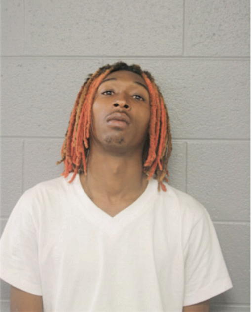 TYRIN T SULLIVAN, Cook County, Illinois