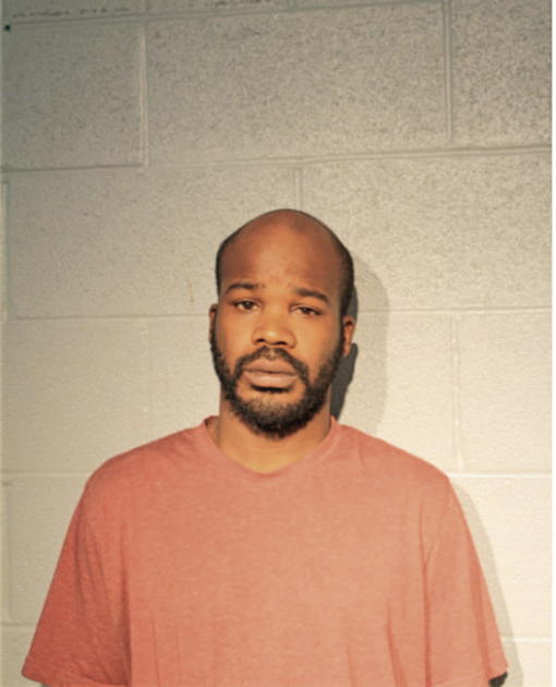 KENNETH T HAMNER, Cook County, Illinois