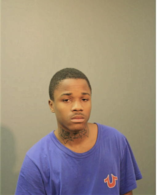 ANDREI L TAYLOR, Cook County, Illinois