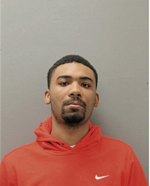 ANTHONY H WILLIAMS, Cook County, Illinois