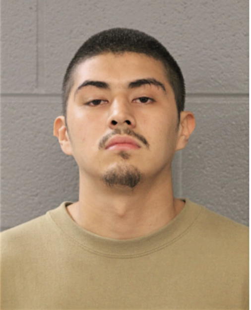 JOSE ABEJA, Cook County, Illinois