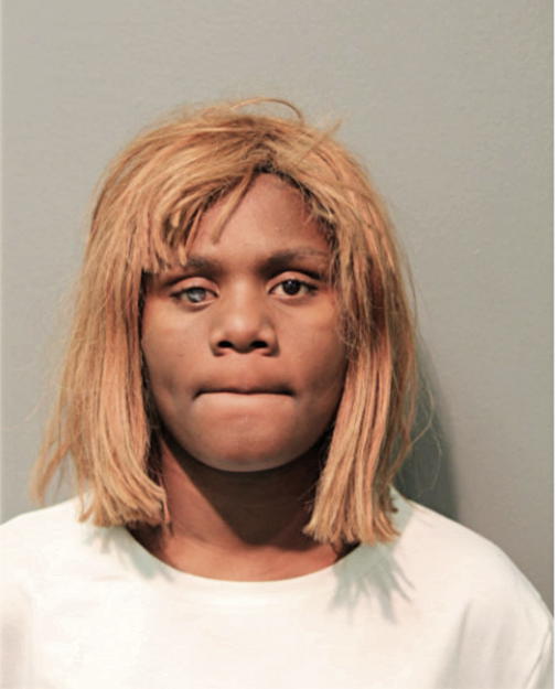DIAMOND D ANDERSON, Cook County, Illinois