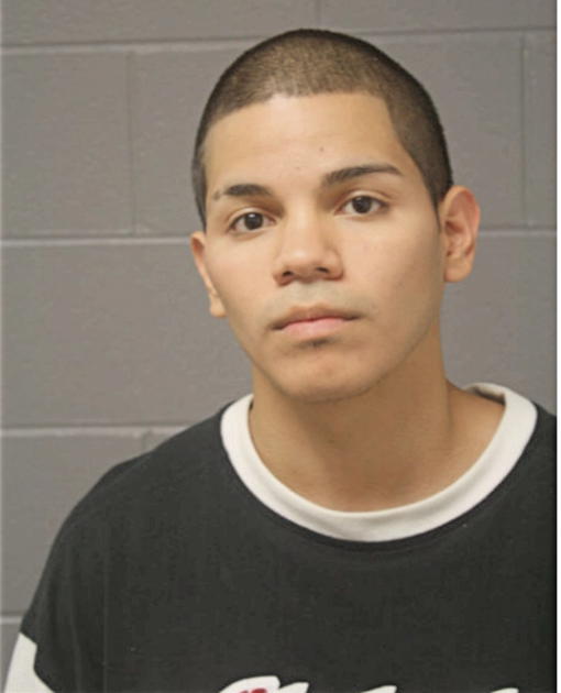 VINCENTE AVILA, Cook County, Illinois