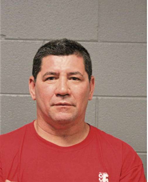 HECTOR J BADILLO, Cook County, Illinois