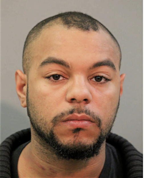 JARVIS H BRINKLEY, Cook County, Illinois