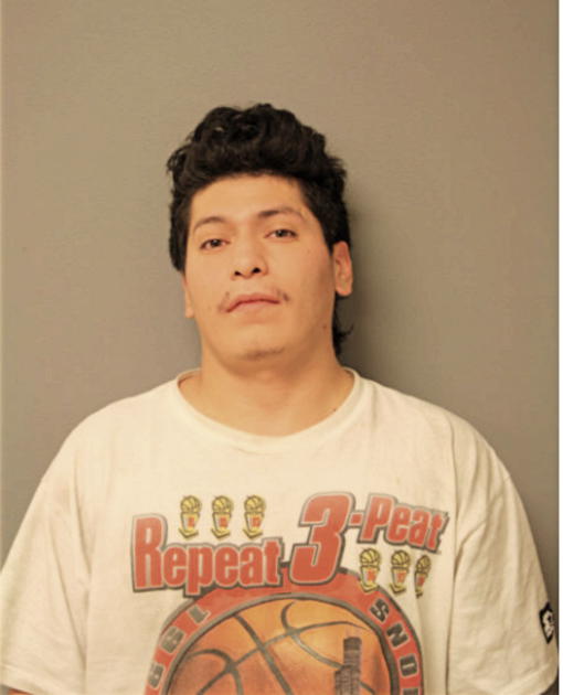 MARTIN CAMARENA, Cook County, Illinois