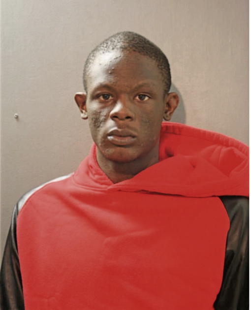 ANDRE J CARTER, Cook County, Illinois