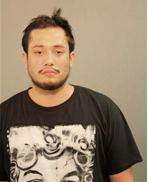 JUAN C FIGUEROA, Cook County, Illinois