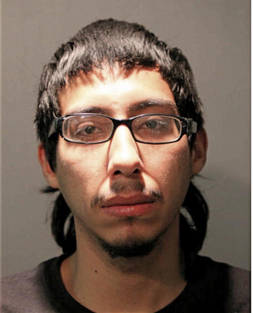 IVAN FLORES, Cook County, Illinois