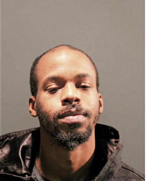 LONNIE L HOLDER, Cook County, Illinois