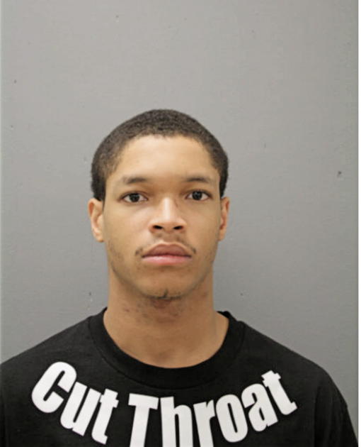 MATTHEW X JACKSON, Cook County, Illinois