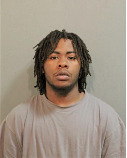 BRIAN M JOHNSON, Cook County, Illinois