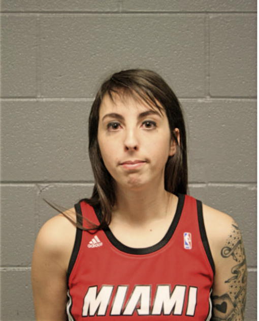 BRITTANY L JOHNSON, Cook County, Illinois